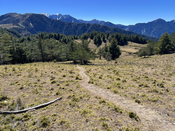 【駒盆西稜上馬博下嘆息灣D2】駒盆谷、積雪馬博拉斯山2443708