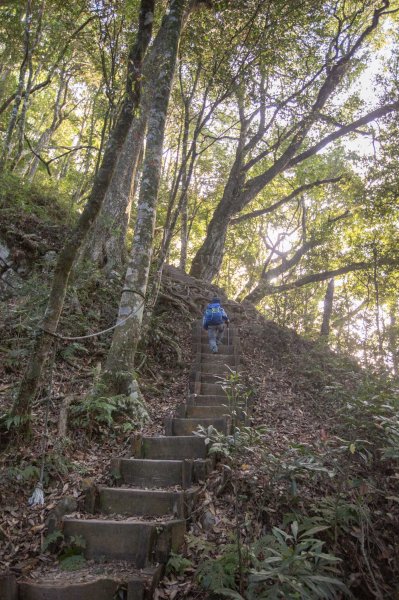 百變的夢幻山域 - 稍來南峰 & 稍來山1483746