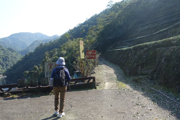 大舌湖步道 虎寮潭3086044