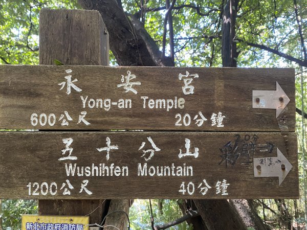 2025微笑山線大縱走尋寶集章任務-Ep.03【鳶山山系】鳶山彩壁段2893679