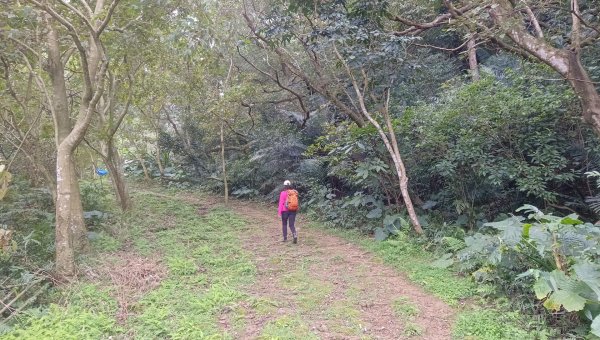 (姨婆趴趴走)第四十七集:新北土城大暖坑山等諸峰攀登連走2738738