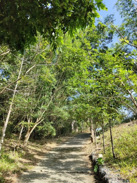 2023.12.24 旗尾山2838038