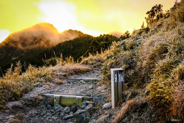 [冬訪大霸聖山岳參行]-榮耀桂冠B'bu' Papak聖稜精選輯2974751