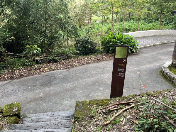 [嘉遊好步道．來嘉走走-04/10] 2024_1011 阿里山頂湖步道2624775