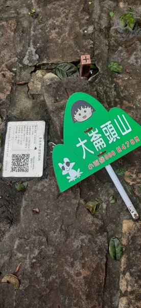 大崙頭山1299804