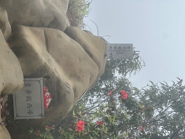 皇帝殿202603293035833