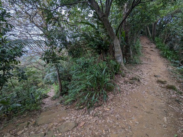 2024-01-28 福州山公園2793300