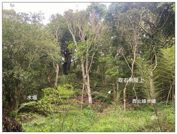 關刀山 (南入口)、關刀山西北峰 連走2804128