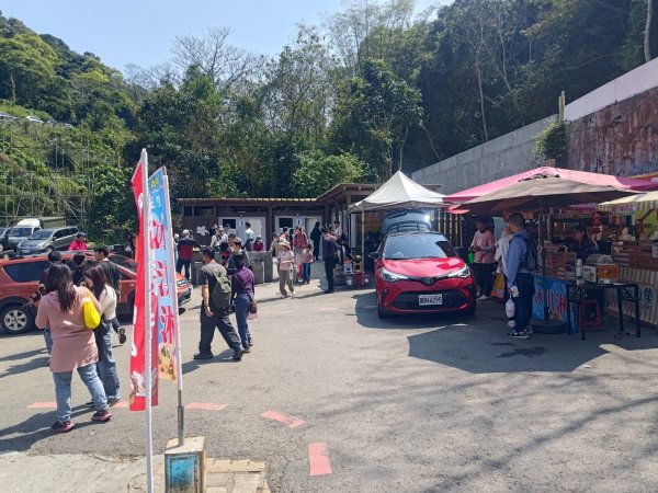 藤山步道登樟普寮一等三角點+挑水古道2749472