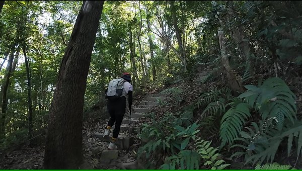 白毛山(谷關七雄No:6)3069019