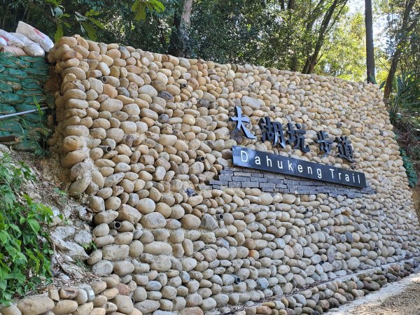 四湖連走（大湖頂山，大湖坑步道，石灰坑山，望湖山，大湖山）