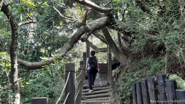 《台中》郊山飆汗｜潭子新田登山步道上聚興山O繞202510042904456