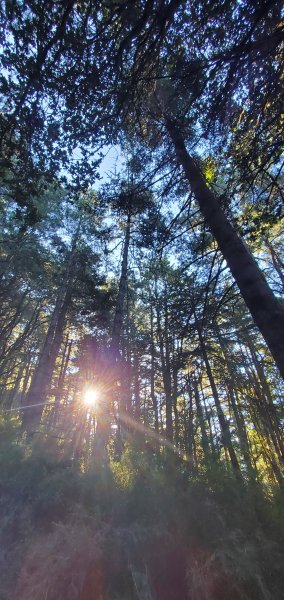 2025國慶連假_南湖群峰7座百岳行2916920