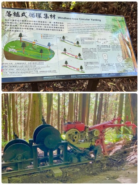 觀霧-榛山步道2926329