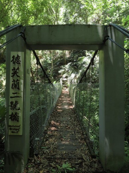 德芙蘭生態步道O形2829451