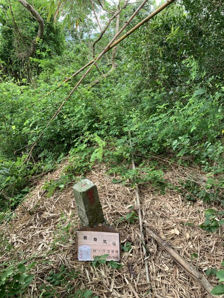 20250906台南蚵殼坑山-九層嶺-三十六崙山-洋子寮山2881507