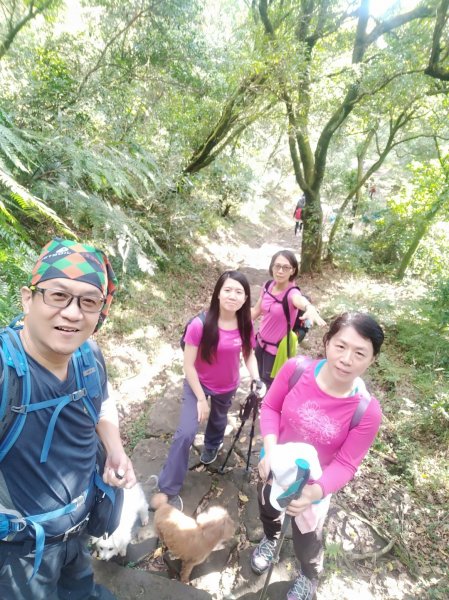 1081215陽明山主，東峰O型走走散步776223