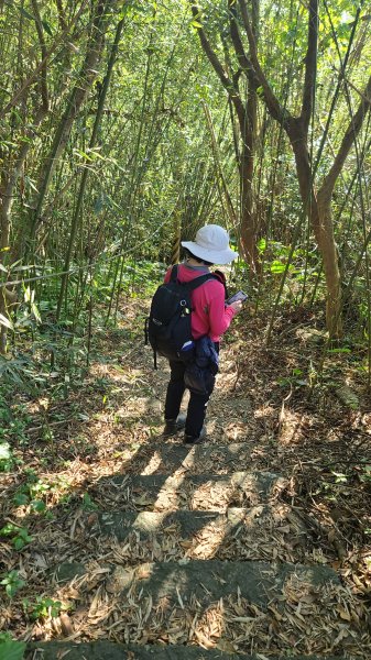 2025-0130溪和宮-大崎頭步道-鵝尾山-平溪步道-鵝尾山水田-42巷-溪山百年古圳-平菁步道2701978