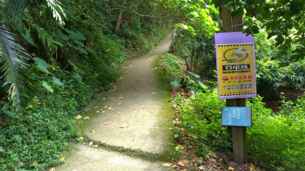 小百岳行~三汀山、碑頭山－女兒幸福陪伴632035