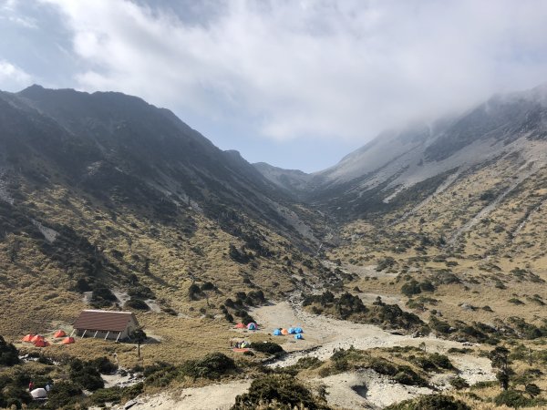 【晨爸推薦影片】山椒魚的啟示｜近山、敬山的距離