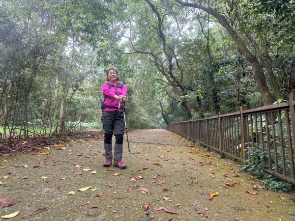 田中森林公園步道、赤水崎公園步道、花牆、龍過脈古蹟2750884