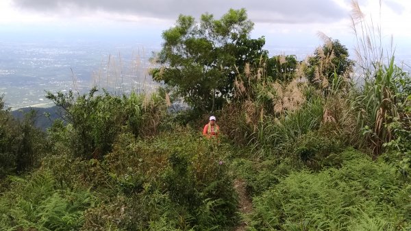 笠頂山、涼山至真笠山連走1014141