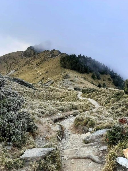 冰霜嘉明湖876720