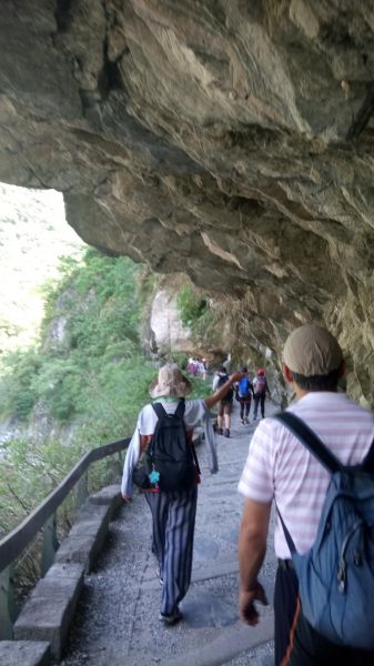 砂卡噹+白楊步道一日健走335297