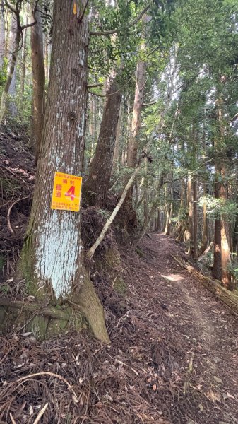 加里山東南峰2845054