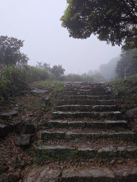 20260327茶壺山3024510