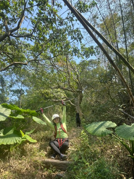 高雄美濃月光山2734939