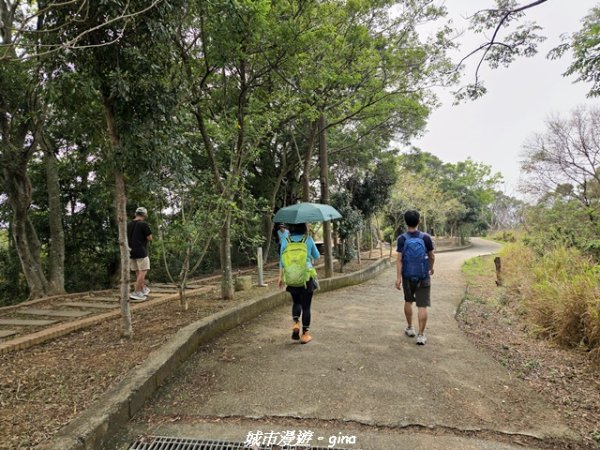 【台中龍井/大肚】竹坑南寮登山步道x瑞井登山步道O繞3031271