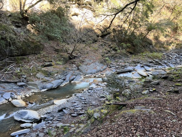 【駒盆西稜上馬博下嘆息灣D1】龍貓公車、郡大溪與積雪玉山2443661