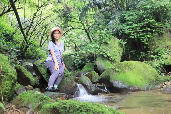菁桐古道-磐石嶺古道2799108