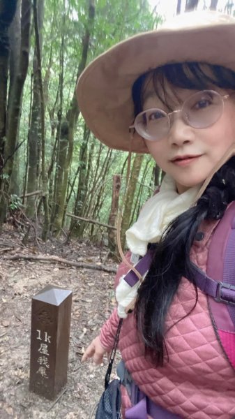 大雪山線 屋我尾山/谷關七雄#3 慢慢遊3063432