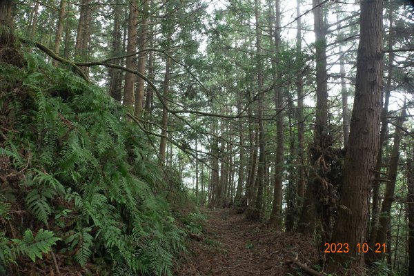 南投 烏來山、南阿冷山、中阿冷山、阿冷山東南峰2325533