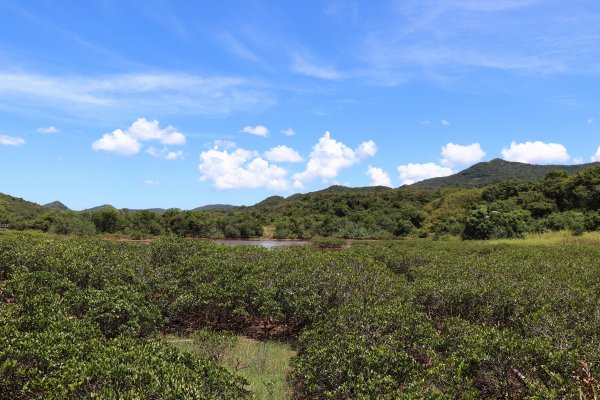 HK - 牛屎湖1046166