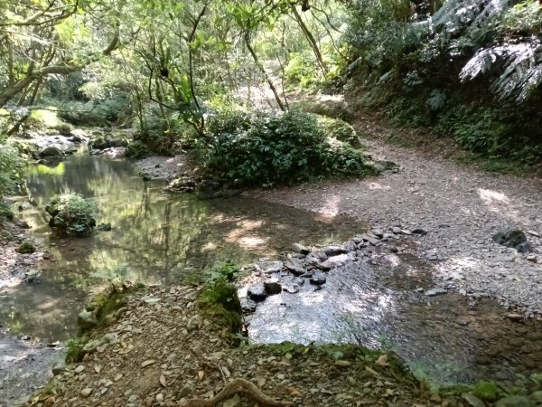 雙溪區坪溪古道-蛇仔崙-鶯子嶺-太和山-蛇子頭觀景台-梗枋越嶺古道鞍部-坪溪古道O型3029748