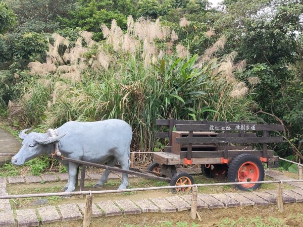 微笑山線：【二格山系】銀河洞越嶺段2959979