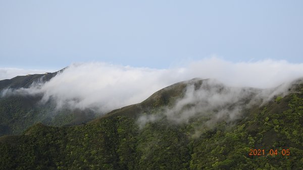 0405陽明山再見雲瀑，今年以來最滿意的一次1335431