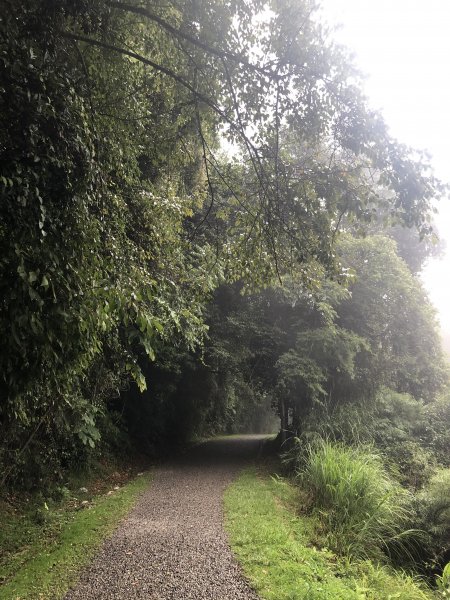 雪見遊憩區/司馬限林道/東洗水山1086316