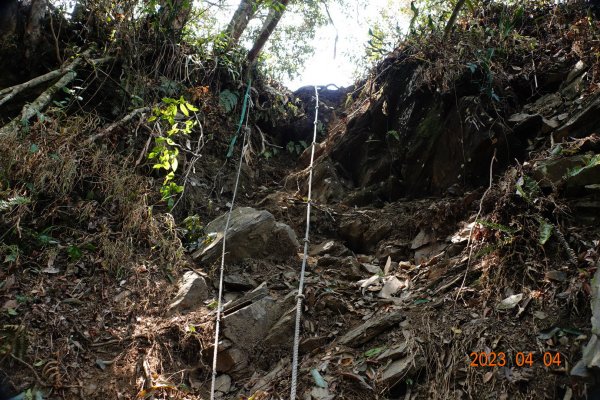 屏東 瑪家、泰武 真笠山、鱈葉根山、日湯真山2103128