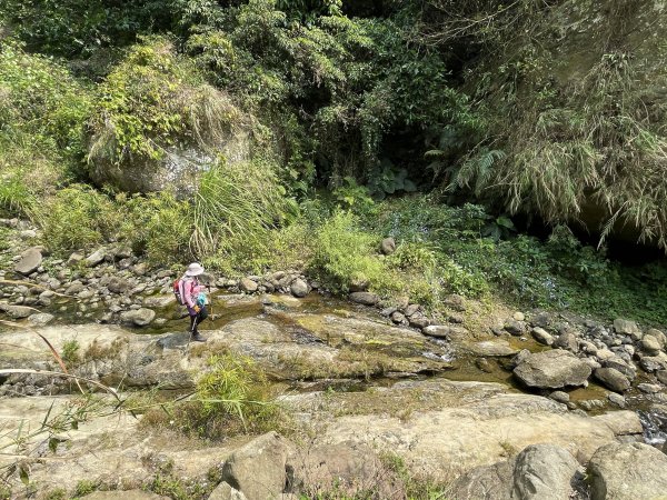 暗影山 西北稜上 南稜下 接仙女瀑布1317878