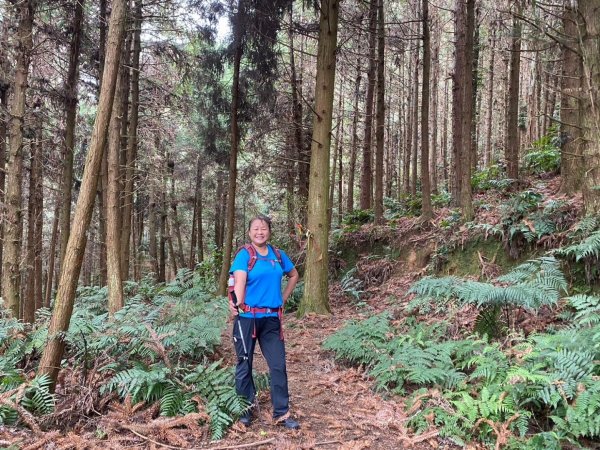 鵝公髻山（小百岳）鵝公髻山東北峰2449863