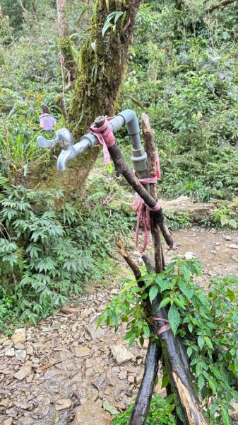 20240419-20松羅湖二天一夜2767350