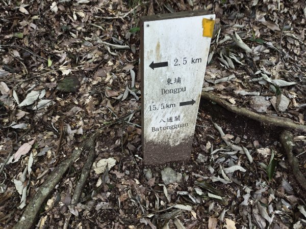 [玉山尋寶任務-07/12] 2025_0824 八通關雲龍瀑布步道2870541