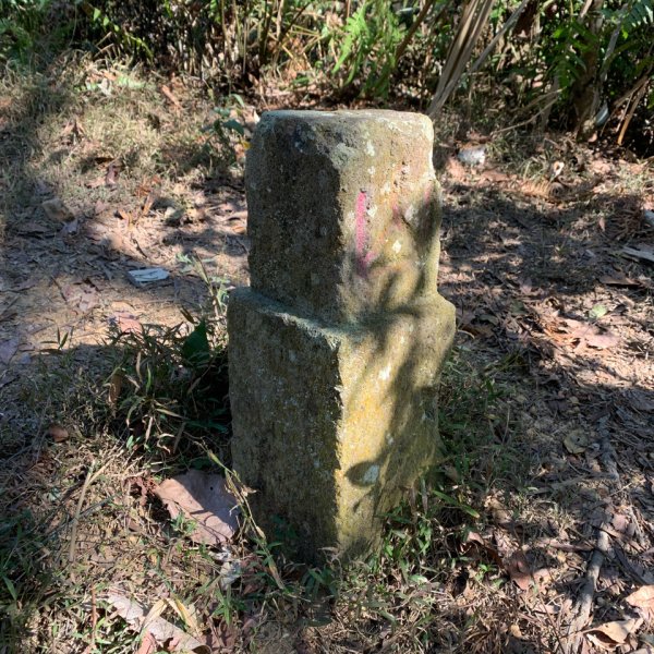 20260207南投雨後頭縱走2998110