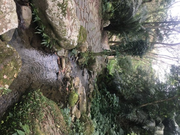 四十二份湧泉2723157