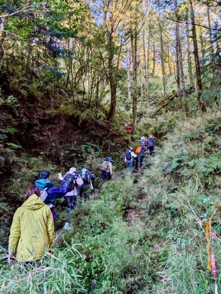 走入魔幻森林 探訪三星池與妹池2952818