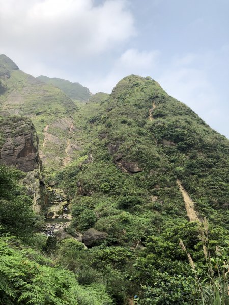 【北台灣郊山之王「瑞芳劍龍稜」 攀爬峭壁岩稜翻山越嶺驚險行】1337545